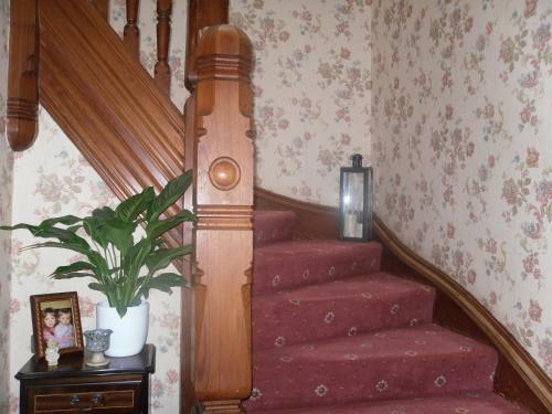 Hostal Ardfern Guest House