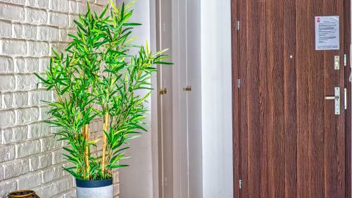 Apartament Triventi Premium Spa - 5d Apartamenty