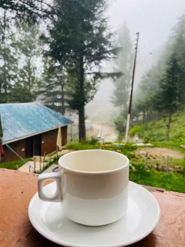 Hotel Neelkanth