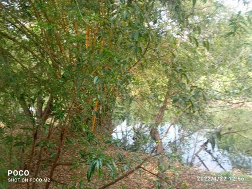 Villa Riverside Cottage