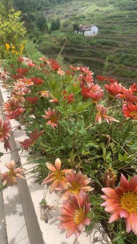 Hotel Bogar Palace Kodaikanal