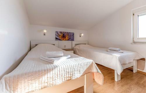 Apartments Ivan