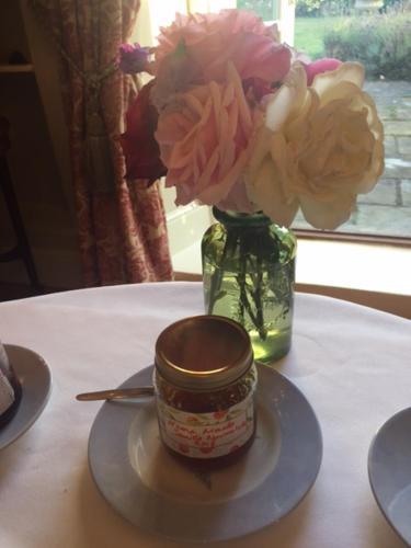 Bed & Breakfast Cary Fitzpaine House