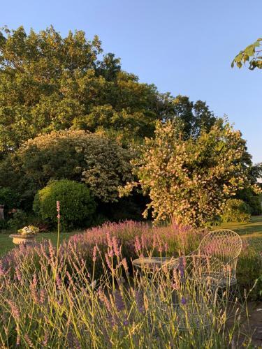 Bed & Breakfast Cary Fitzpaine House