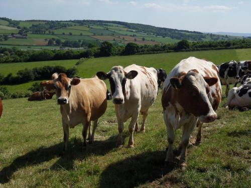 Highdown Farm Holiday Cottages