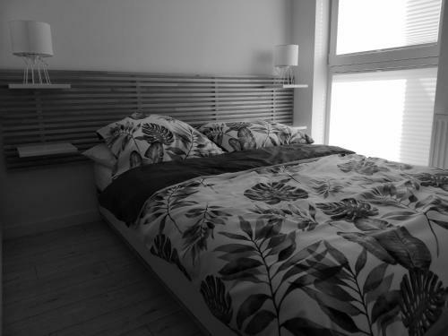 Apartament, Port, Pla?a I Ty