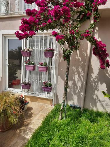 Eser Apart Dalyan