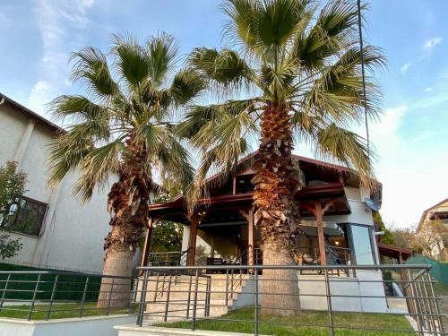 Palmera Villa Sapanca