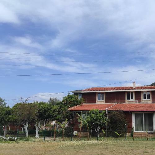 Esin's Houses