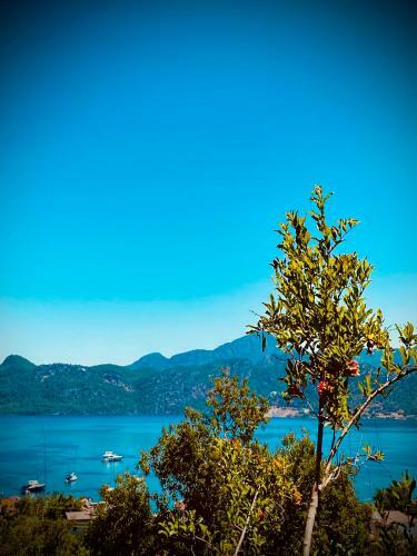 Apartamento Defne Residence Selimiye