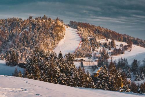 Lodge Domki Widok�wka