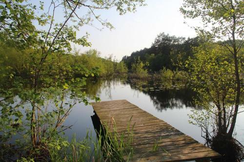 Holiday Home, Kolczewo