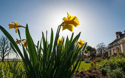 Bed & Breakfast Grange Country Guest House (non Smoking)
