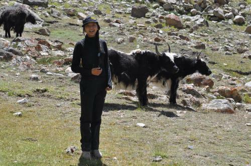 Hostal Rock Castle Residency