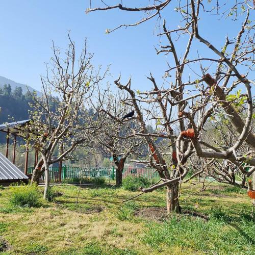 Pehlingpa Home 3 Private Bedrooms