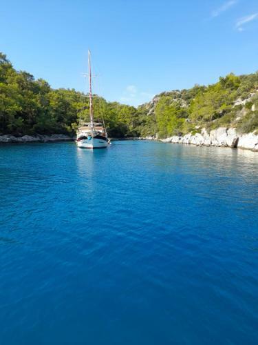 Apartamento �?nar Residance