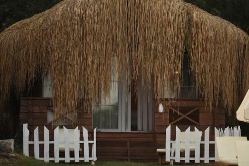 Hotel Green Pine Bungalows & Beach Luxury Concept