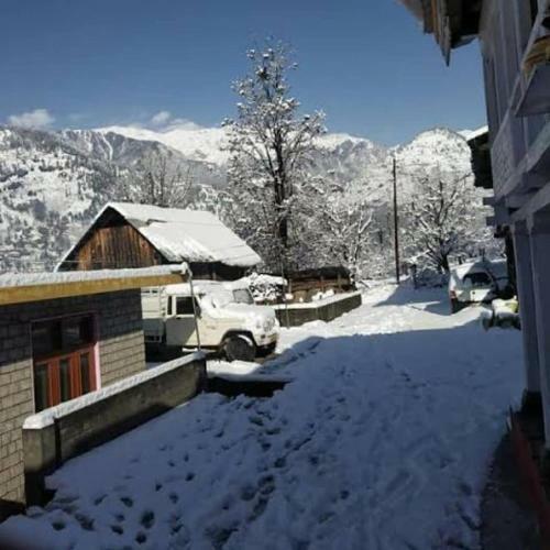 Naggar Homestay