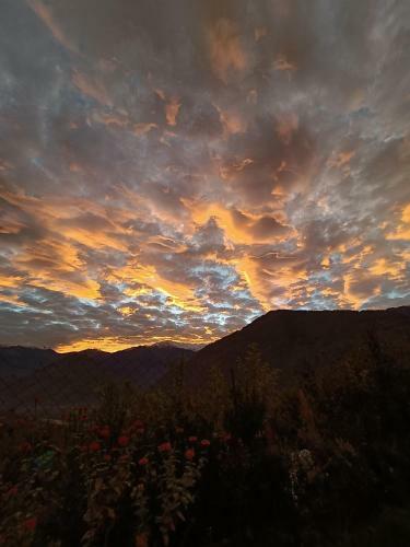 Naggar Homestay