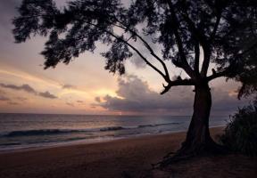 Hotel Jw Marriott Phuket Resort & Spa