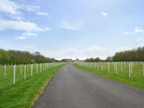 Woodlands