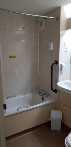 Motel Redwings Lodge Dunstable
