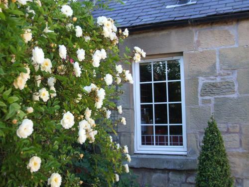 The Coach House Self Catering Apartment