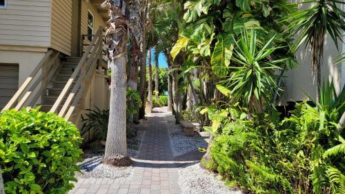 Apartamento Beach Front Condo Paradise. Ground Floor.studio.