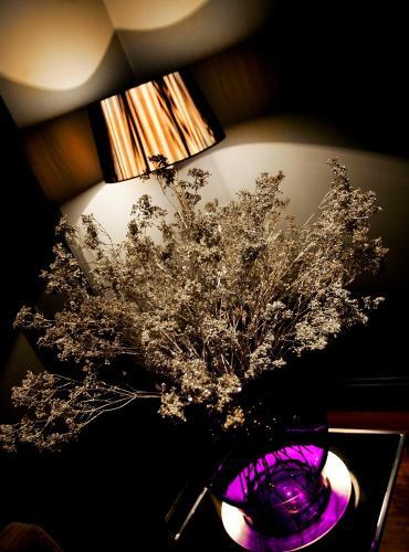 Hotel Boutique 25
