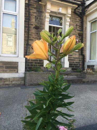 Hostal Highfield Guesthouse