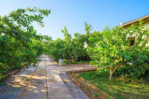 Hotel Ranthambore Tiger Inn Comfort Resort