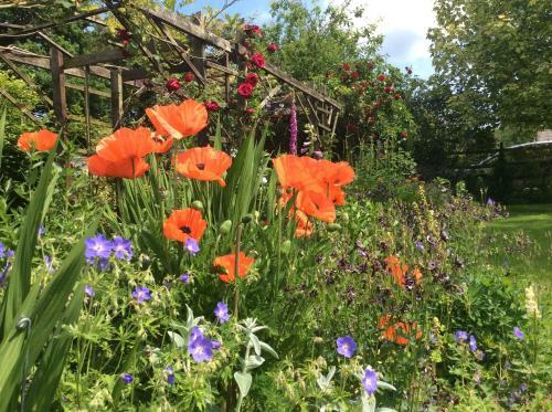 Bed & Breakfast Woodgate Farm