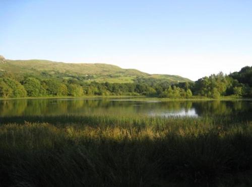 Bed & Breakfast Bryn Derw