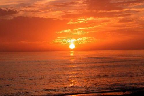 Pet-friendly, King Bed, Close To Siesta Beach, Restaurants, Shopping