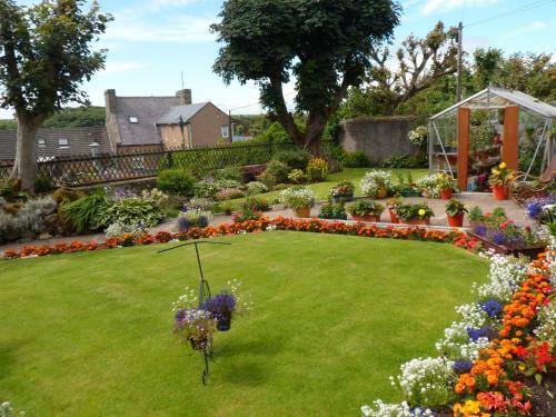 Hostal Nethercliffe Hotel