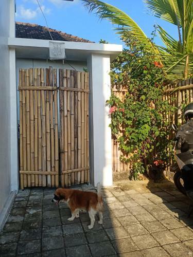 Hotel Oyo 90464 Ryan Guest House