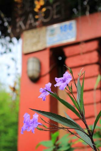 Lodge Oemah Kajoe Lembang