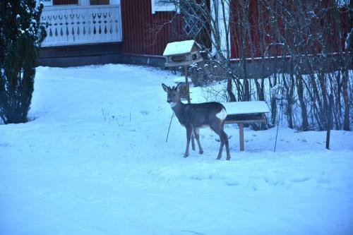 Lillstugan, S�dra Bergslagen