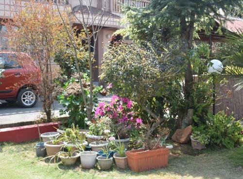 Hostal Fairlawns Guesthouse