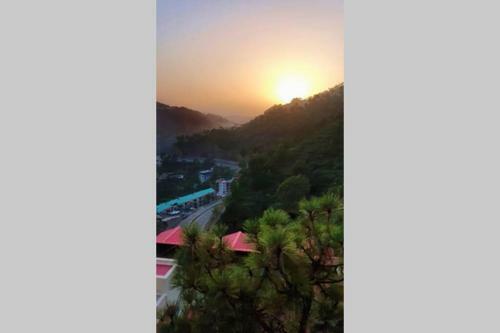 Entire Apartment , Near Kasauli Nature View