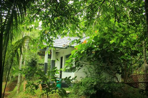 Villa Vintage Garden Resort