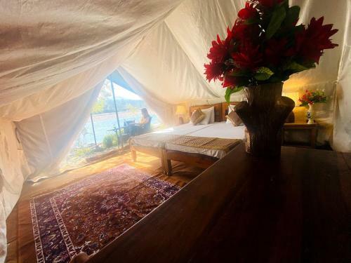 Hotel Lushy Days Boom Camp