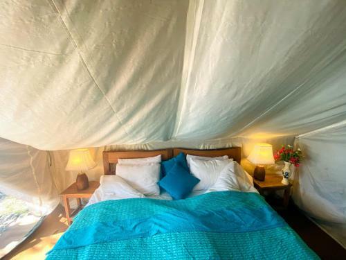Hotel Lushy Days Boom Camp