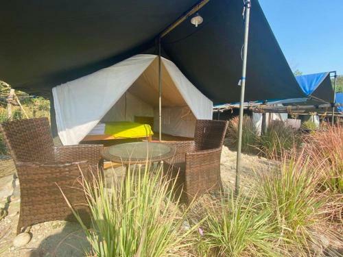 Hotel Lushy Days Boom Camp