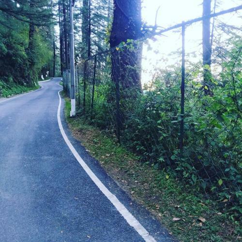 Bed & Breakfast Shimla Pines Homestay
