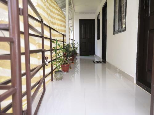 Spice Green Homestay