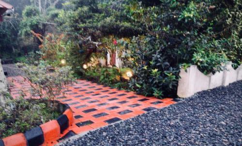 Bed & Breakfast Avalon Grove