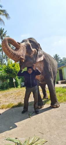 Spice Cottage Homestay