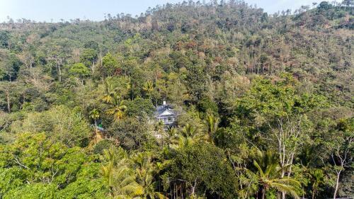 Alencherry Plantation Homestay