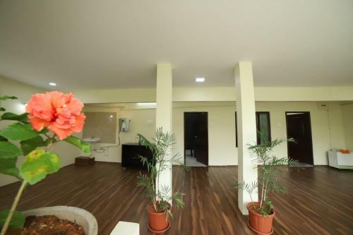 Villa Royal Home Stay Deluxe Room